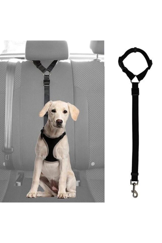 Bypet Köpek Emniyet Kemeri Ve Gezdirme Tasması - Tüm Araçlara Uyumlu - Köpek Araba Seyahat Kemeri Siyah