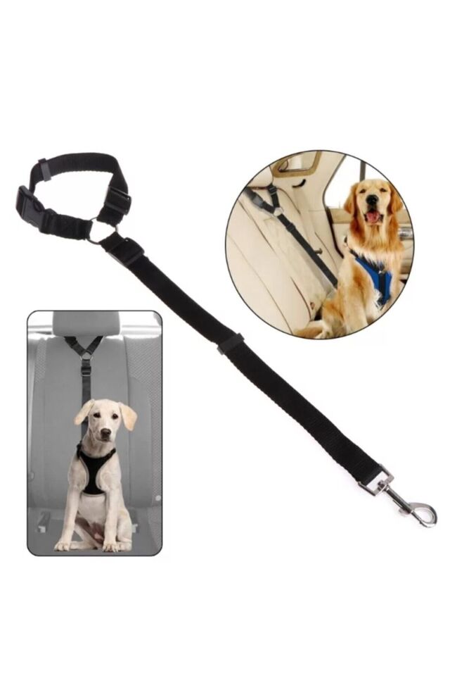 Bypet Köpek Emniyet Kemeri Ve Gezdirme Tasması - Tüm Araçlara Uyumlu - Köpek Araba Seyahat Kemeri Siyah