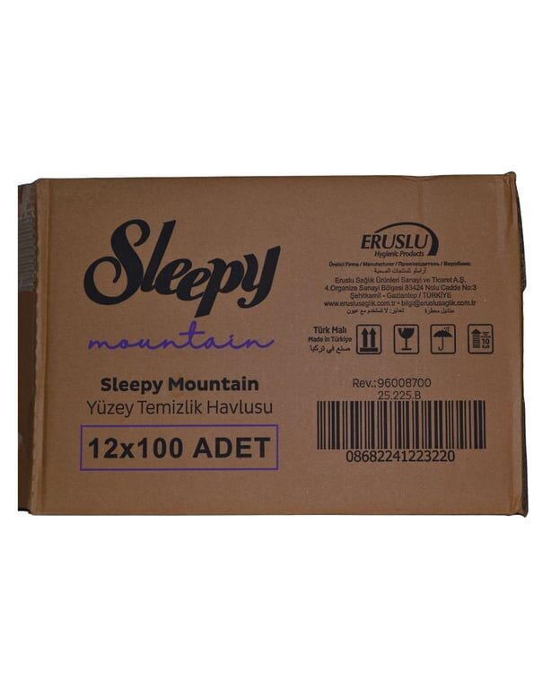 Sleepy Yüzey Temizlik Havlusu Dağ Esintisi 100lü